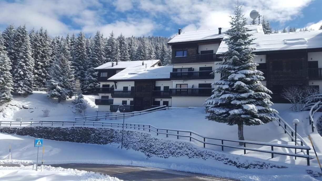 Alpieve Albergo Pieve เปียเว ดิ เลโดร ภายนอก รูปภาพ